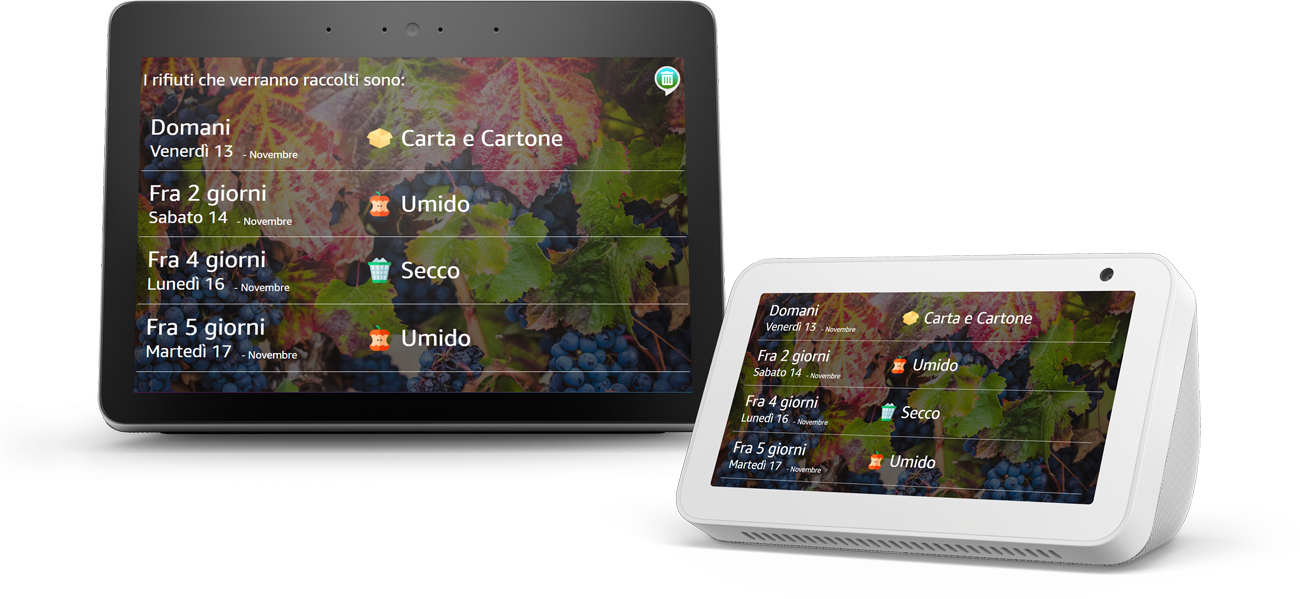 Immagini di Echo Show dalla skill Raccolta rifiuti per Alexa realizzata da Navoo